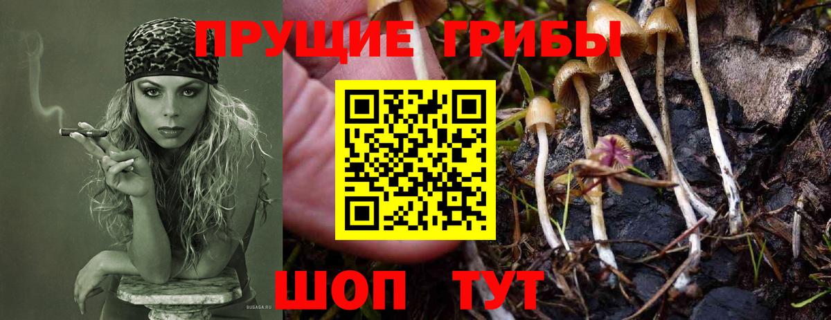 Галлюциногенные грибы Psilocybe  Галлюциногенные грибы мухоморы  цены наркотик  Протвино  Вход с VPN 